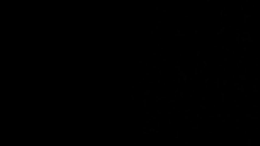 synop_sis Приват Записи 2026-03-25