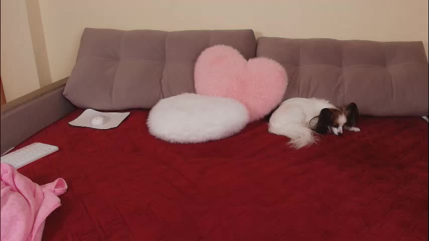 magic_touch_ Приват Записи 2026-03-25