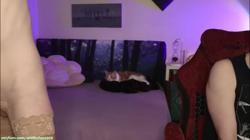 widthofapeach Приват Записи 2026-03-25