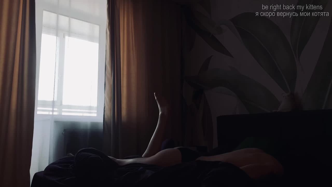 meowis Приват Записи 2026-03-26