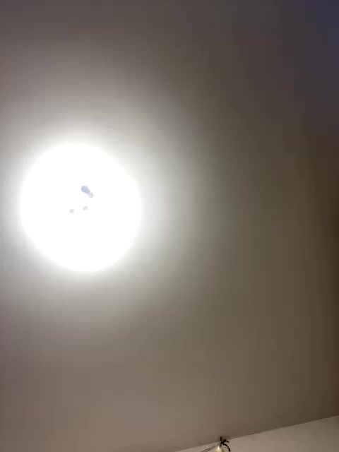 Oyster-lemon Приват Записи 2026-03-26