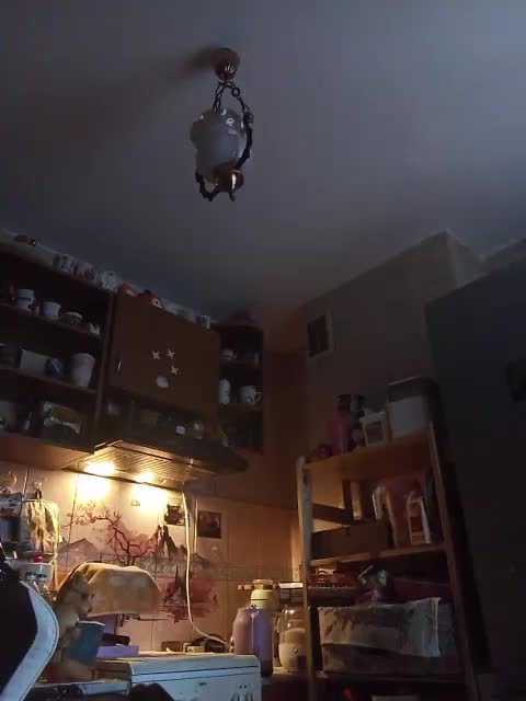 Tignari2000 Приват Записи 2026-03-27