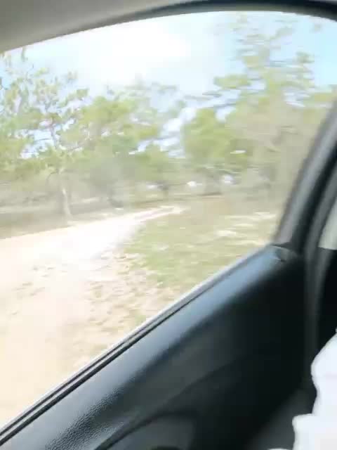 ___Pypsiki___ Приват Записи 2026-03-27