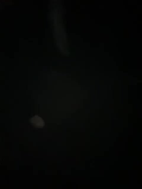 -DEVOCHKA-YYY- Приват Записи 2026-03-30