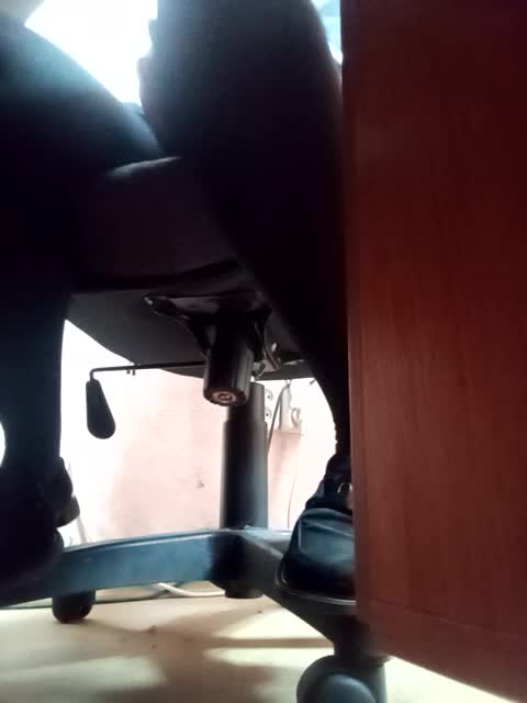 Molii-Molii35 Приват Записи 2026-03-31