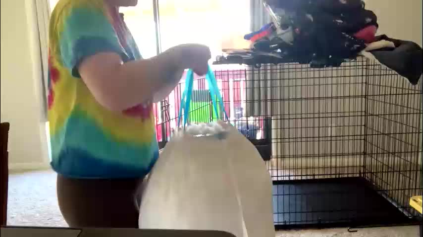 intothewoodswego Приват Записи 2026-03-31