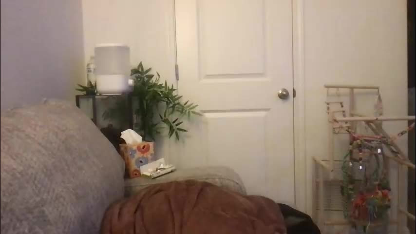 texas_blonde Приват Записи 2026-03-31