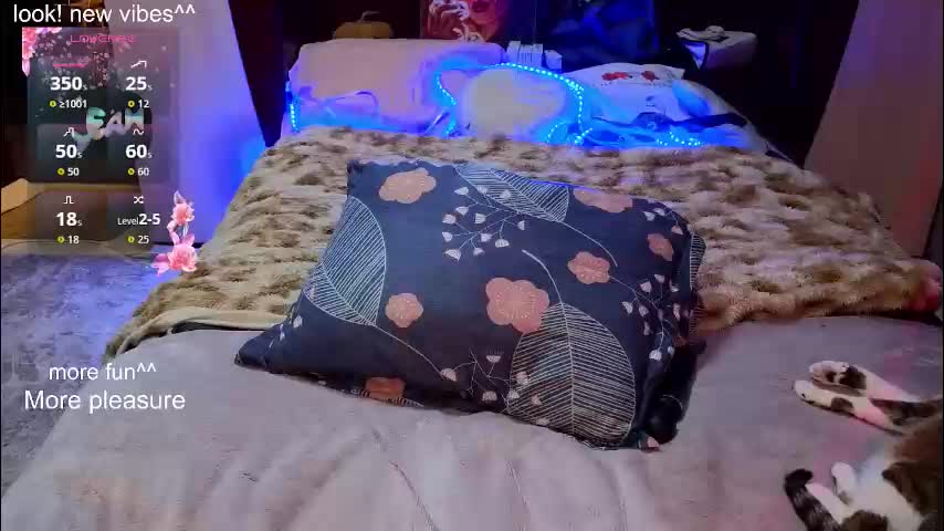 yourwishnes Приват Записи 2026-03-31