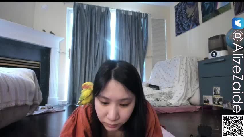 alizezaide Приват Записи 2026-04-02