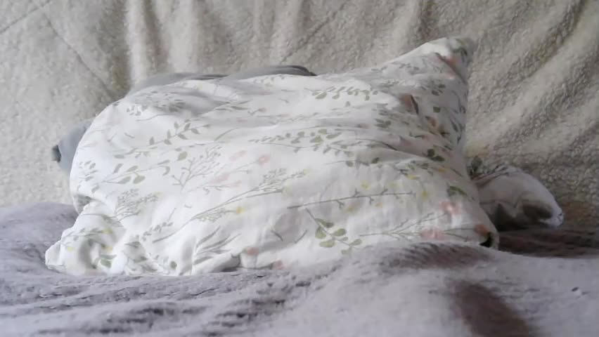 lenorrr Приват Записи 2026-04-03