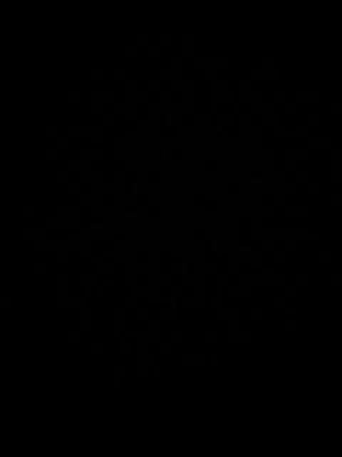 Aloeloea Приват Записи 2026-04-03