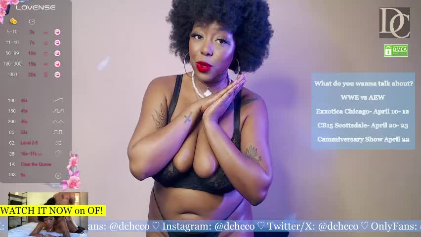 dchcco Приват Записи 2026-04-03