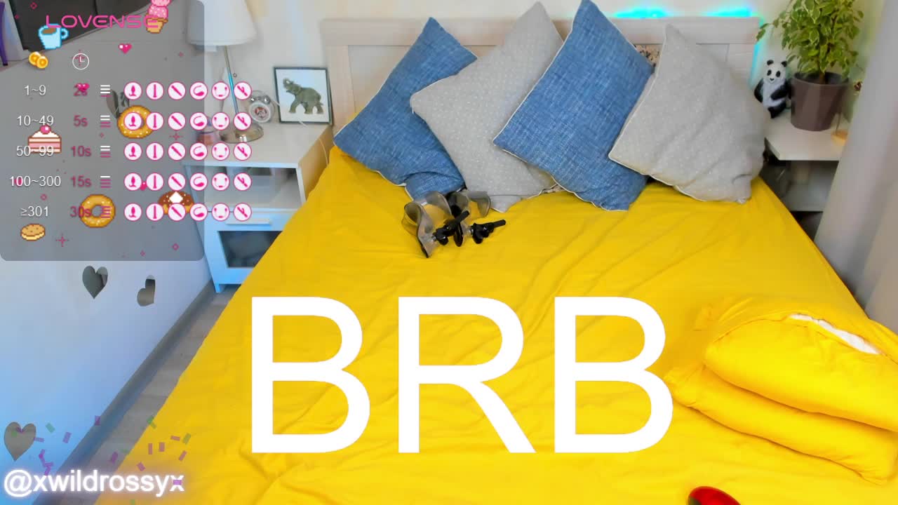 wildrossy Приват Записи 2026-04-03