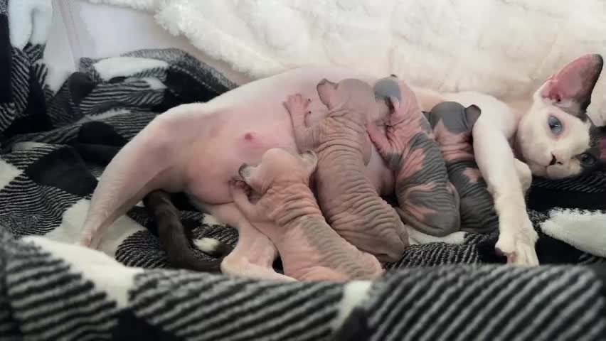 graciemae_baexx Приват Записи 2026-04-04