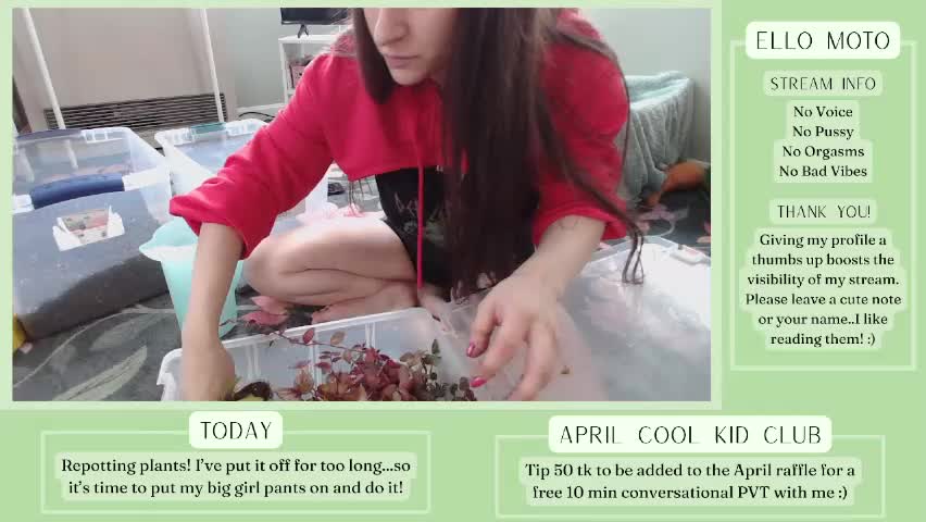 constantcumquest Приват Записи 2026-04-05