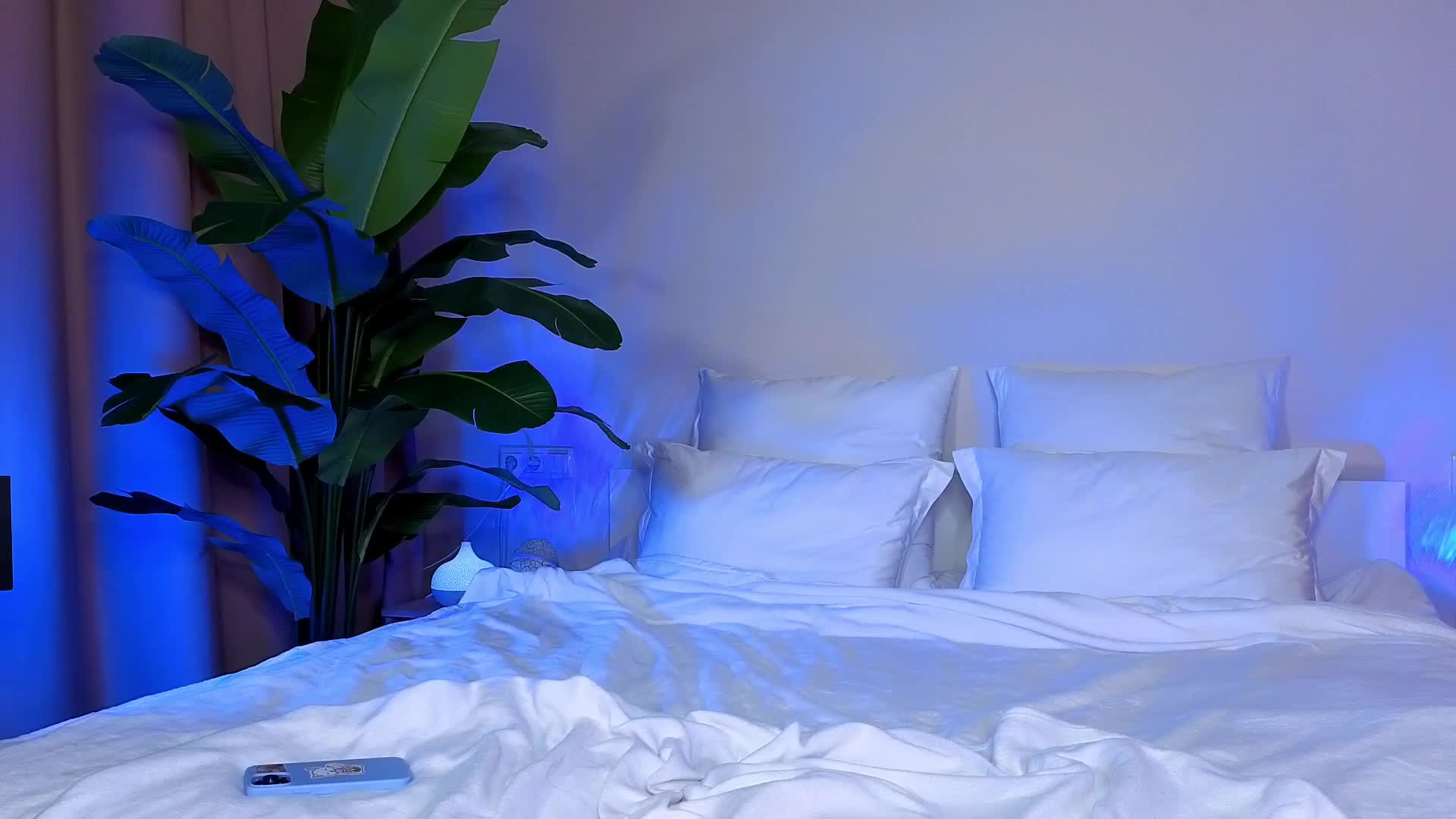 Amyleeplayss Приват Записи 2026-04-05