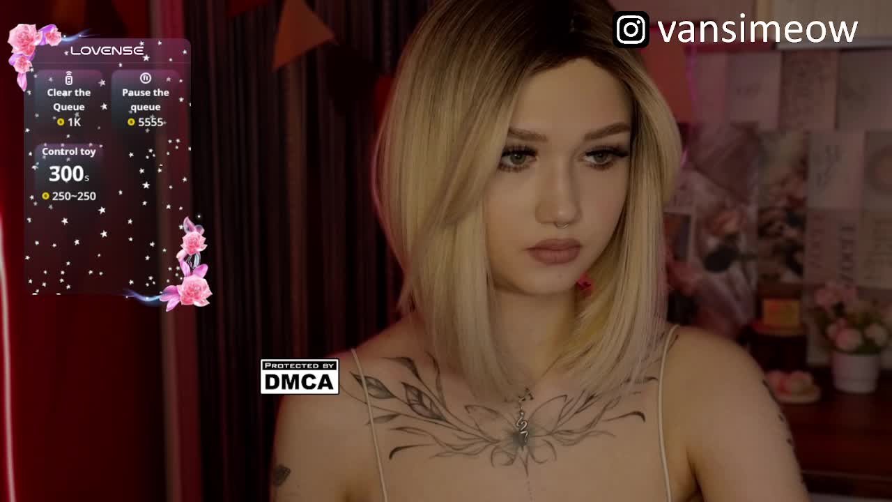 vanslly Приват Записи 2026-04-05