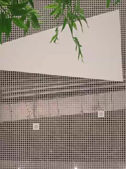 Annanas Приват Записи 2026-04-06