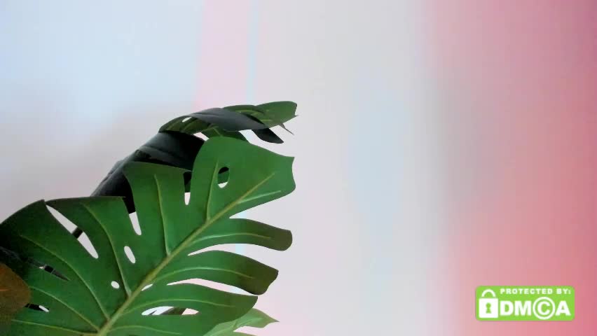 ashllovee_ Приват Записи 2026-04-07