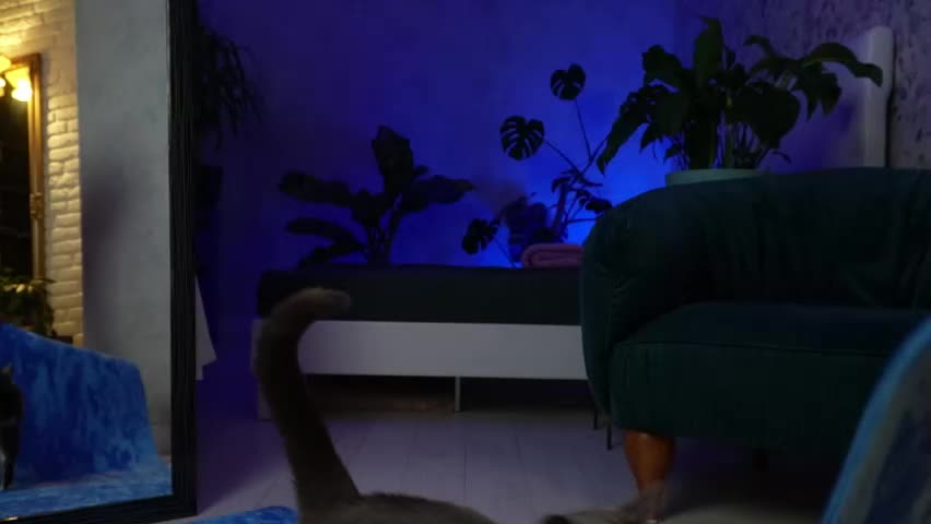 clara_bendover Приват Записи 2026-04-07