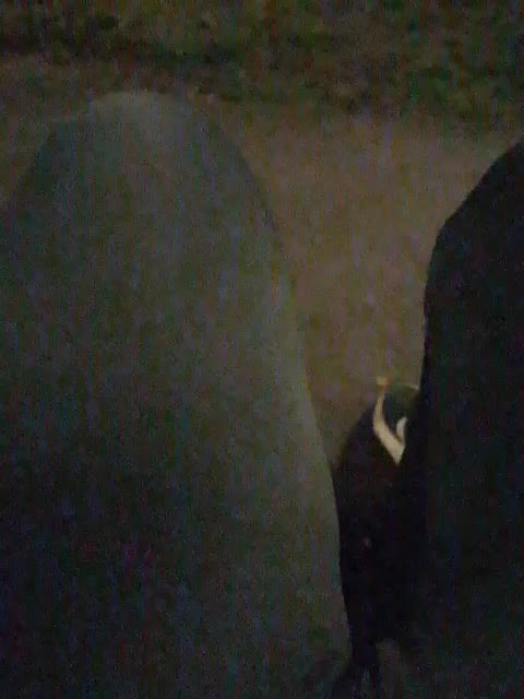 EVIL_TITS Приват Записи 2026-04-07