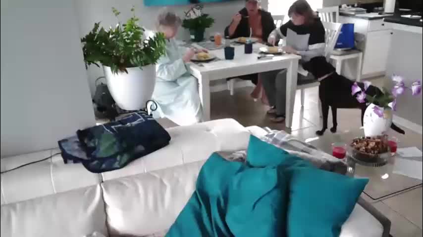 smallpenisbigtongue Приват Записи 2026-04-07