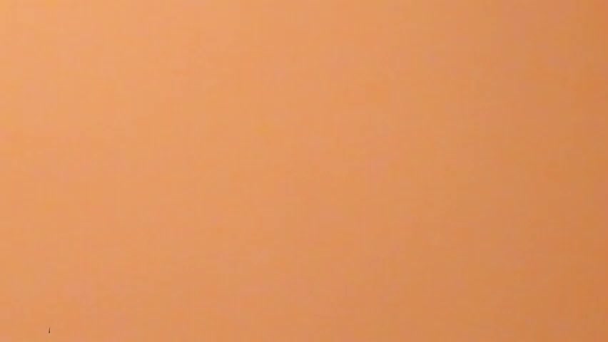 b3cky_ Приват Записи 2026-04-08