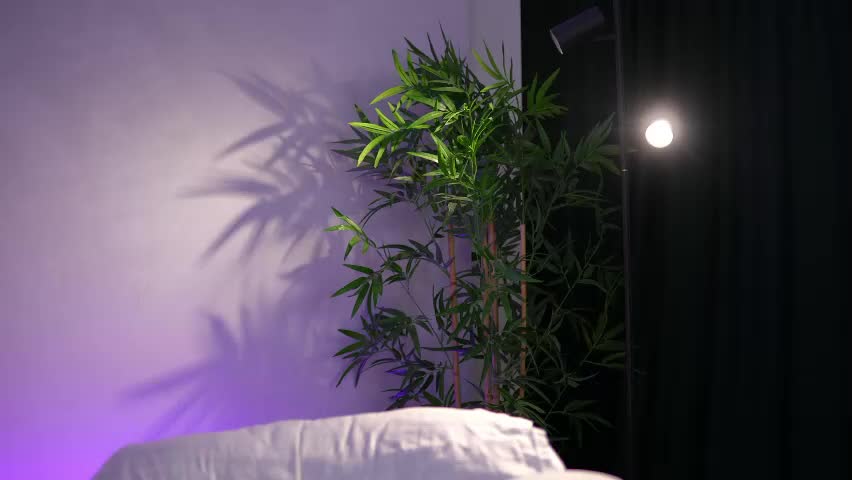 _arielle Приват Записи 2026-04-10