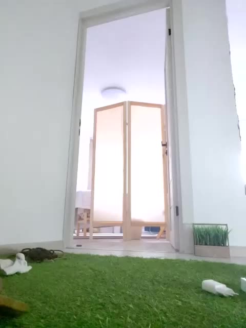 HATPAXAHA Приват Записи 2026-04-10