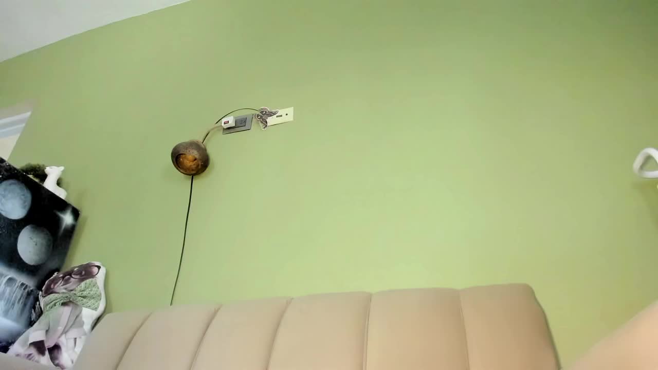 Mspurrfect Приват Записи 2026-04-10