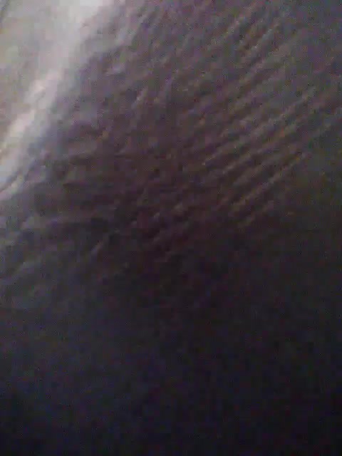 KlientVsegdaPrav Приват Записи 2026-04-10