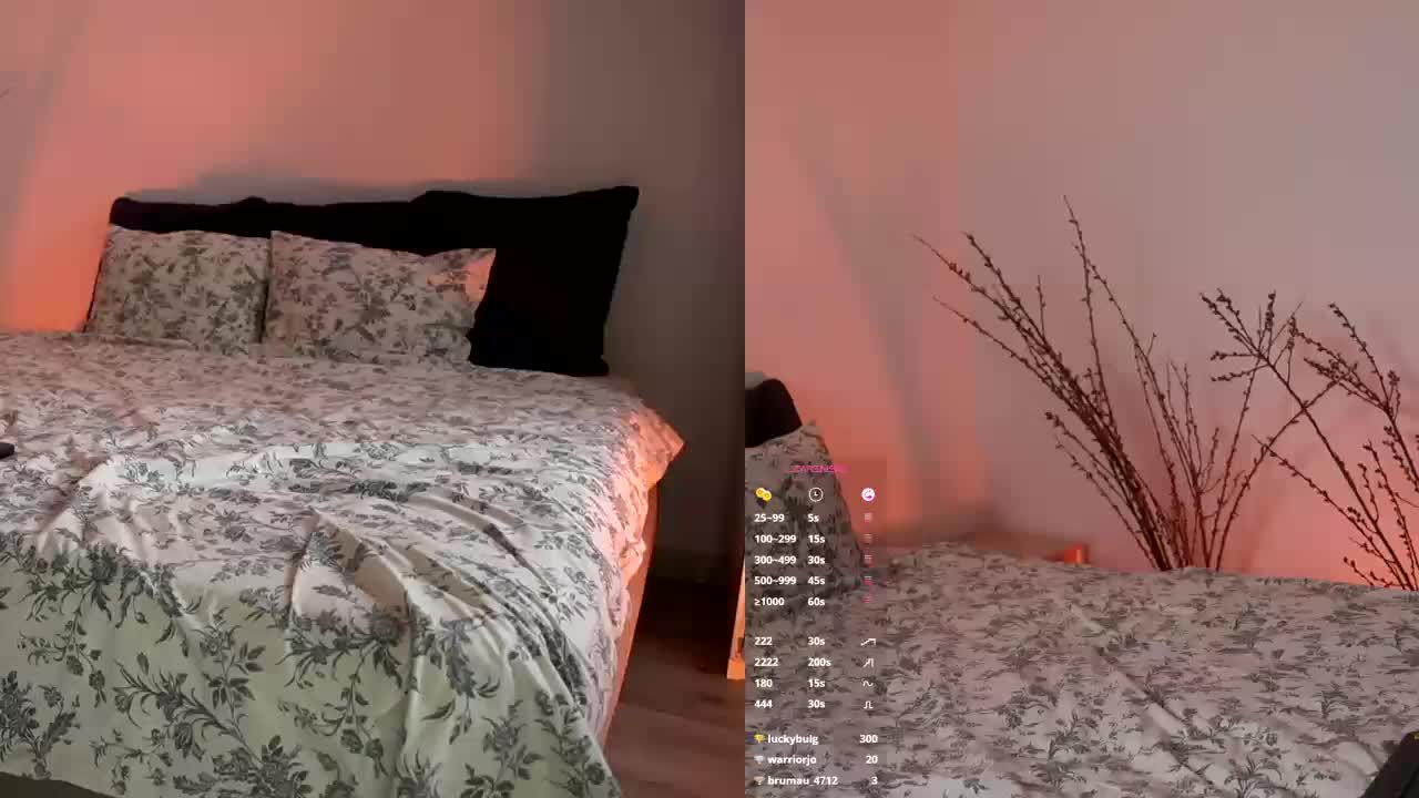 SpecialART Приват Записи 2026-04-10