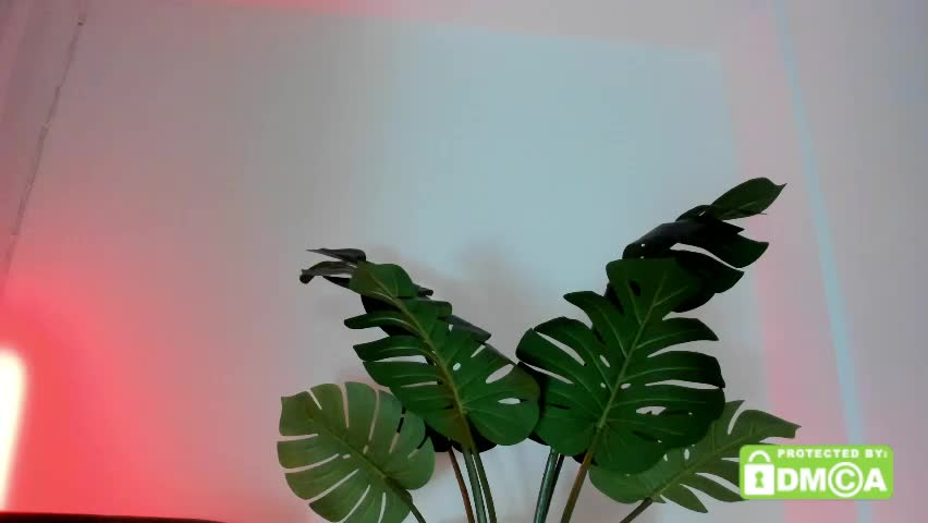 ashllovee_ Приват Записи 2026-04-10