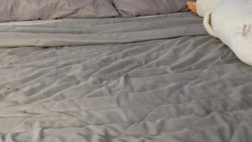 adele_armas Приват Записи 2026-04-10