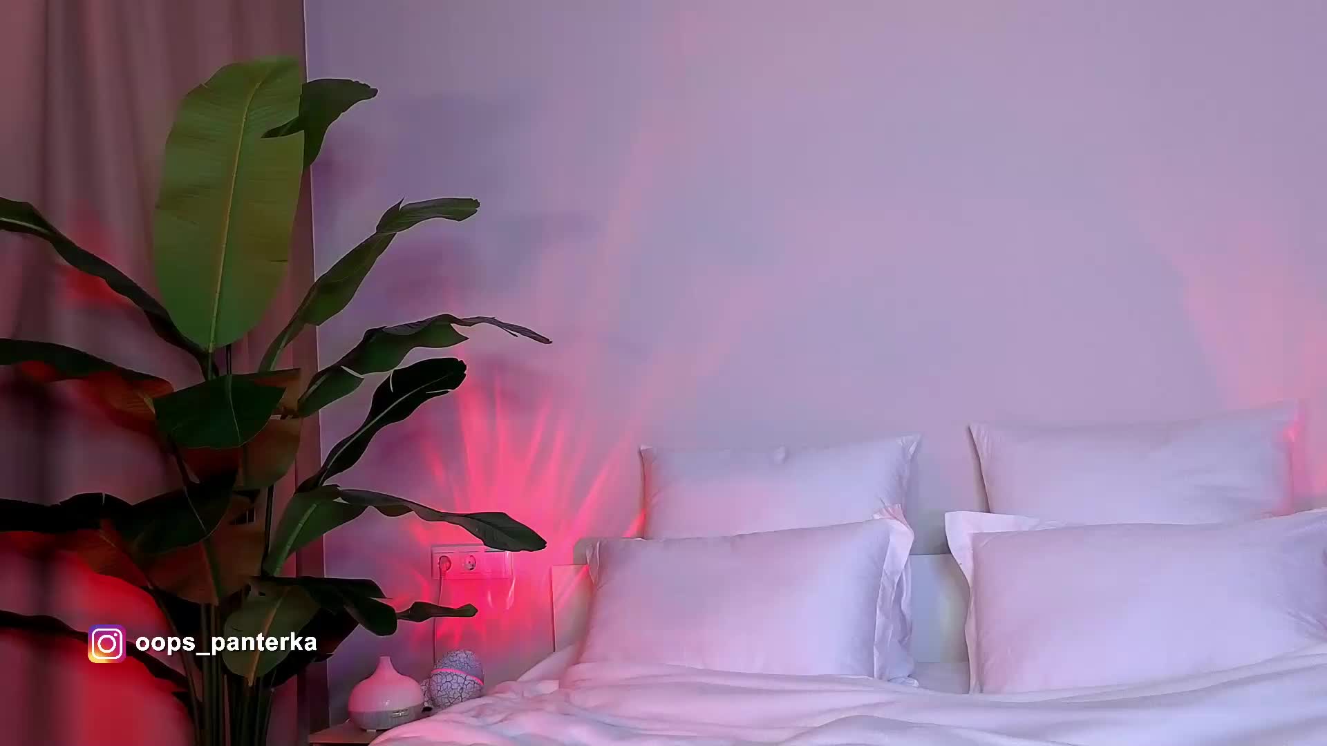 Amyleeplayss Приват Записи 2026-04-10