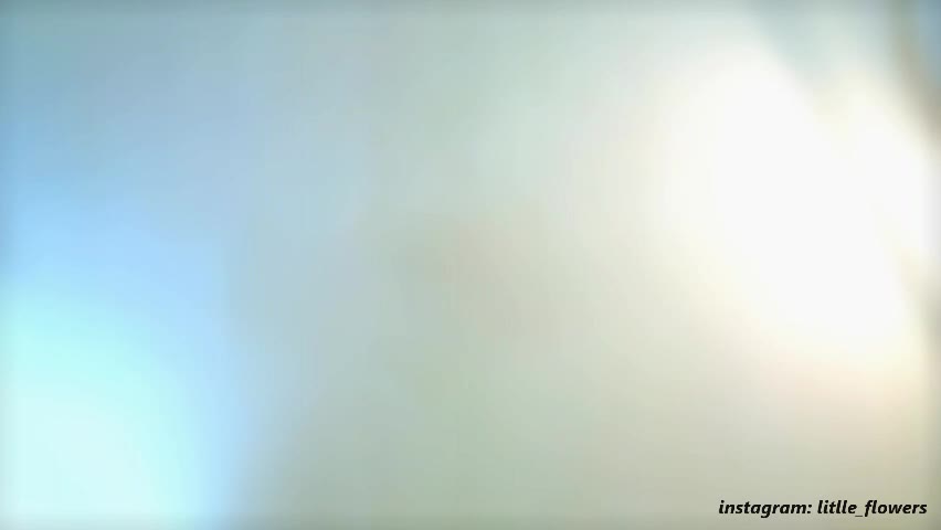 litlle_flowers Приват Записи 2026-04-11