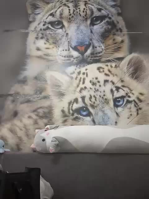 KittyTempreXXX Приват Записи 2026-04-11