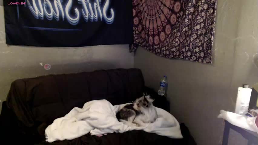 londonray Приват Записи 2026-04-13