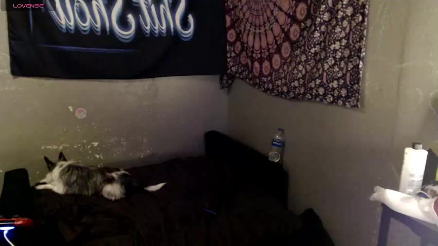 londonray Приват Записи 2026-04-13