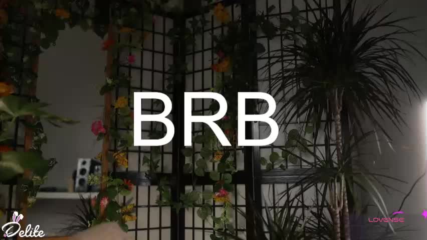 delitevip Приват Записи 2026-04-13