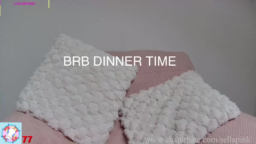 sellapink Приват Записи 2026-04-13