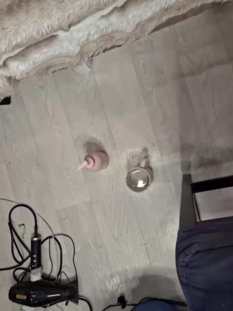 -scyrim- Приват Записи 2026-04-14