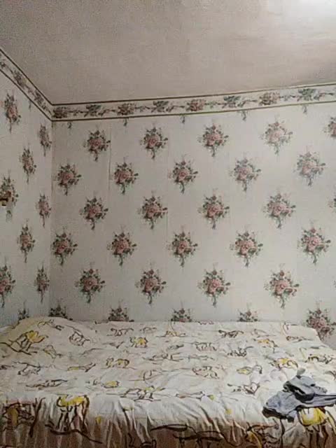 Alisa-33 Приват Записи 2026-04-14