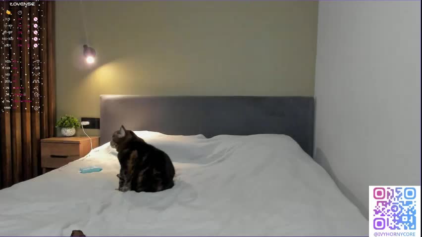 shy_suchka Приват Записи 2026-04-14