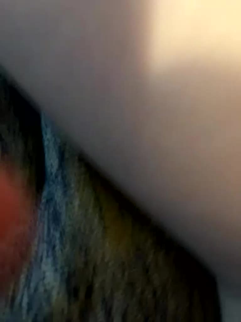 hotpars Приват Записи 2026-04-14