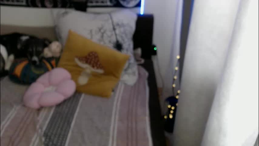 aliens4twenty Приват Записи 2026-04-15