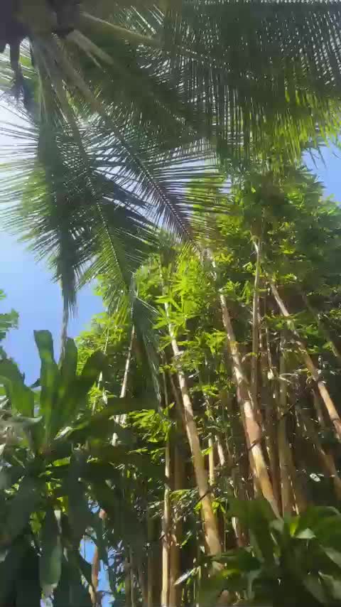 KinaMoonLove Приват Записи 2026-04-16