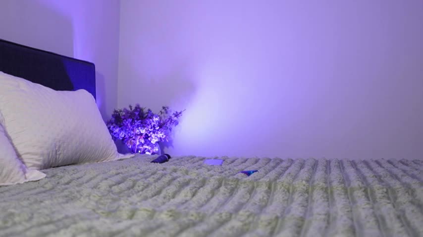 Miya_Nika Приват Записи 2026-04-17