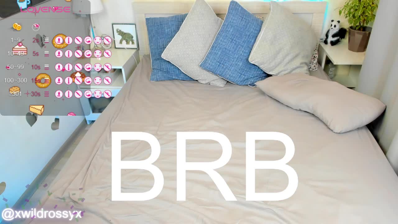 wildrossy Приват Записи 2026-04-18