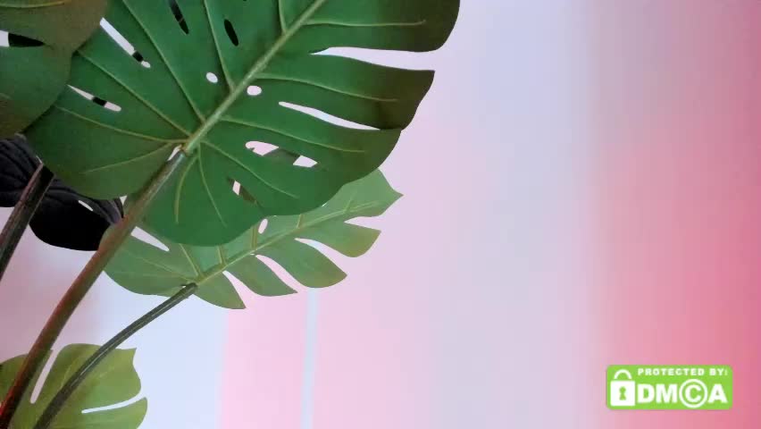 ashllovee_ Приват Записи 2026-04-19